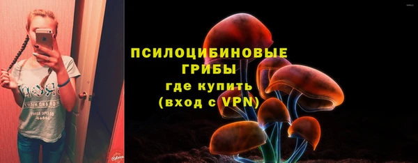 не бодяженный Абаза